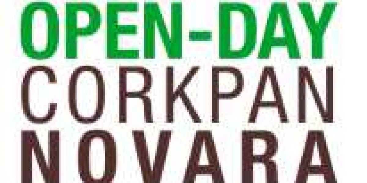 Tecnsougheri e Artuso Legnami organizzano un open-day in cantiere a Borgomanero (NO)