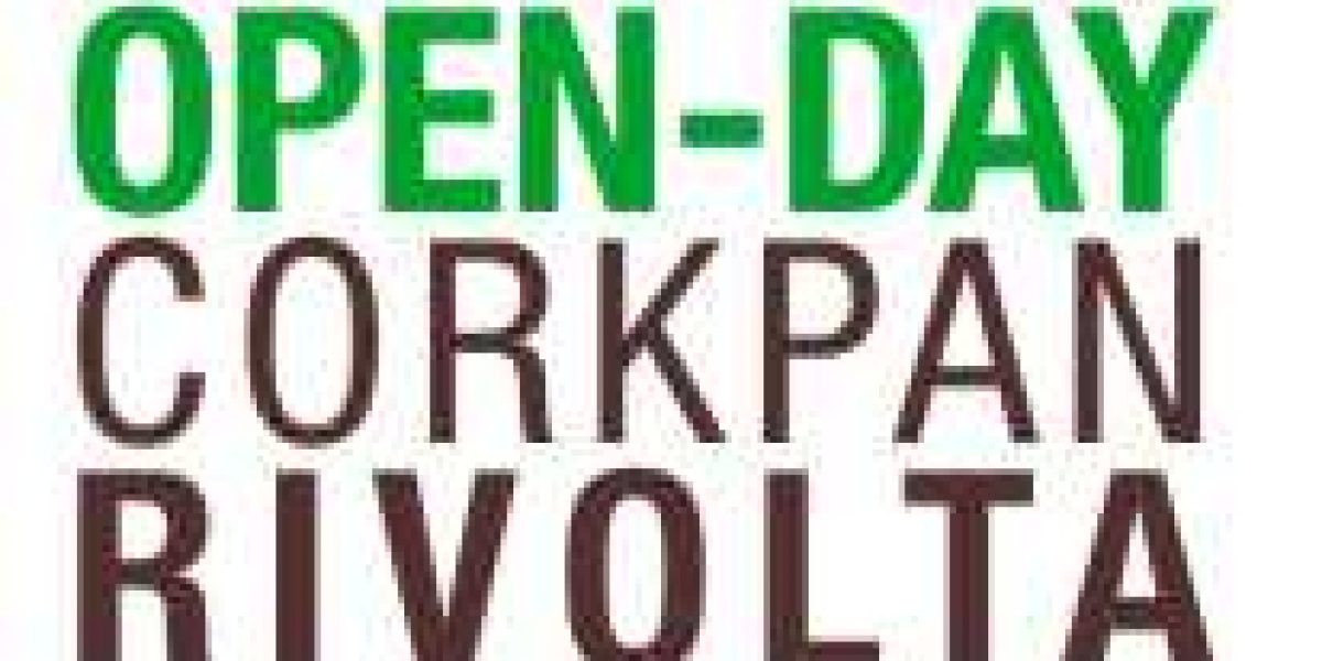 Tecnosugheri organizza un open day sul cantiere di Rivolta d'Adda di Manini Engineering