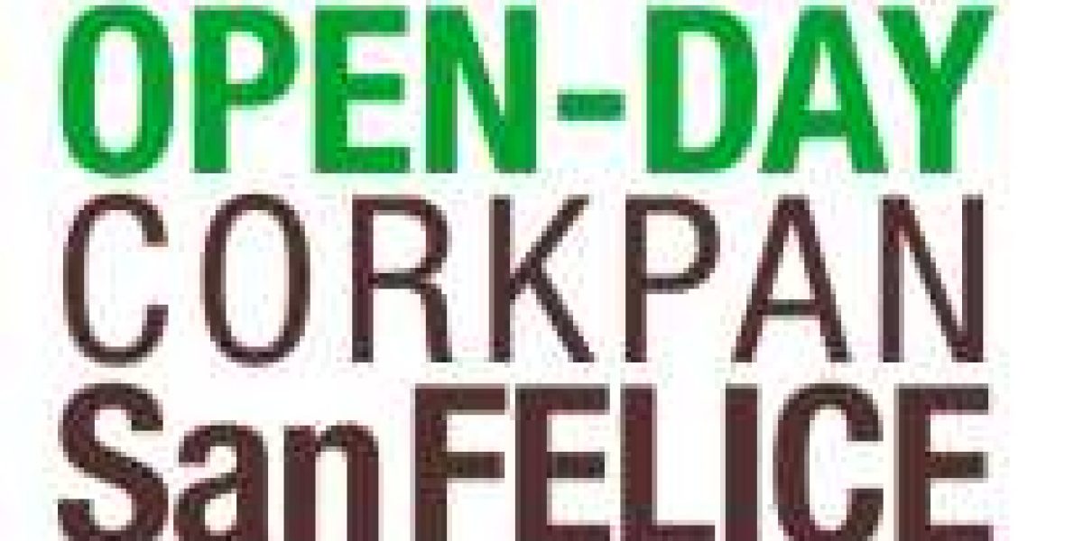 Tecnosugheri organizza un open-day sul cantiere di San Felice s/Panaro a Modena